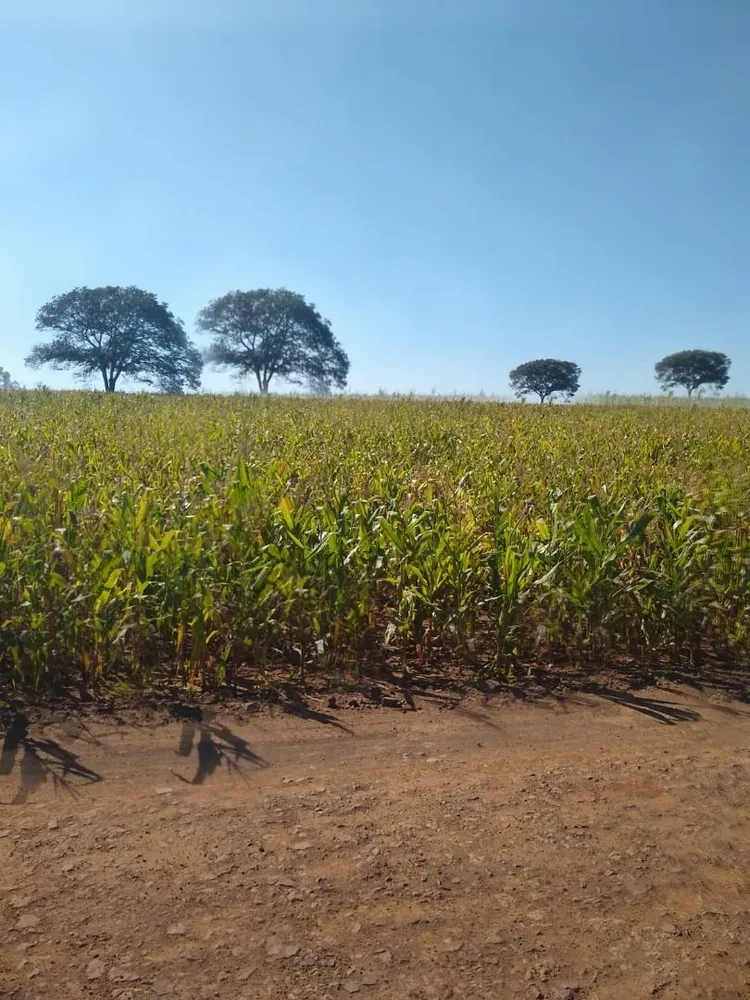 Terreno, 18 hectares - Foto 6
