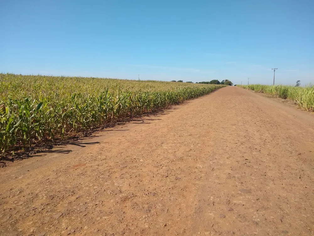 Terreno, 18 hectares - Foto 4