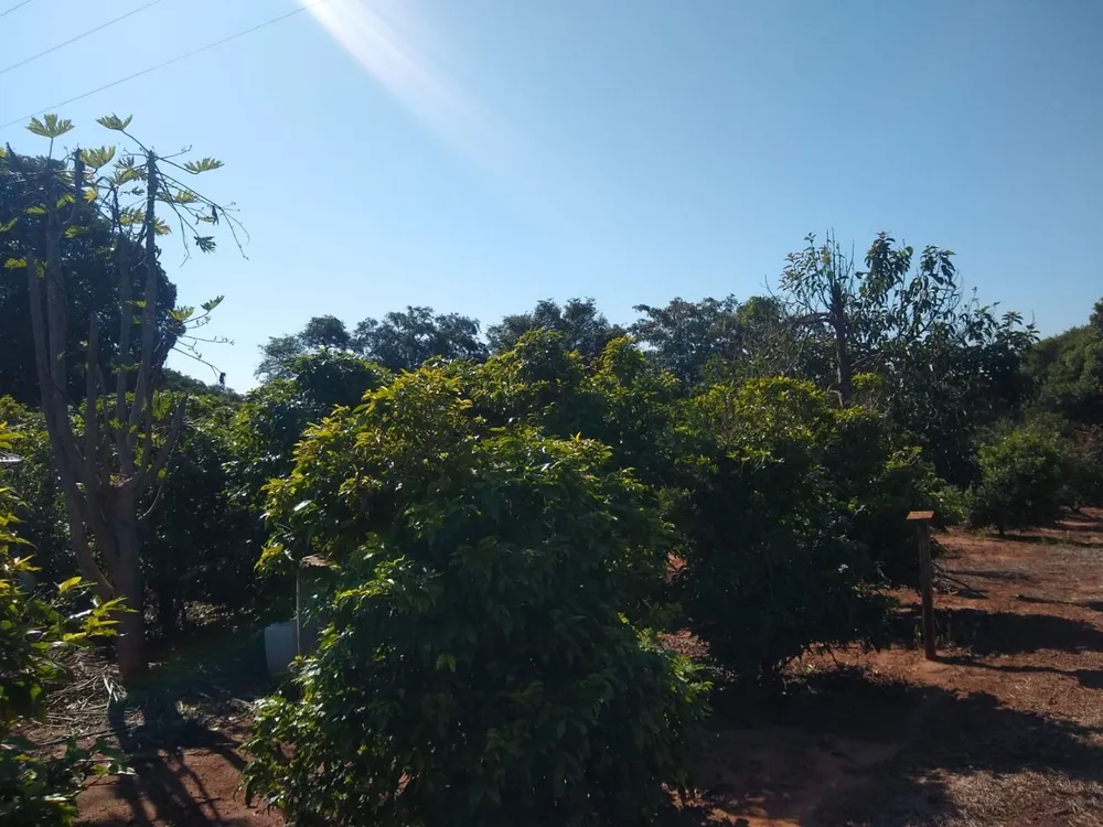 Terreno, 18 hectares - Foto 7