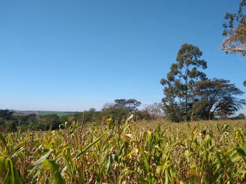 Terreno, 18 hectares - Foto 1