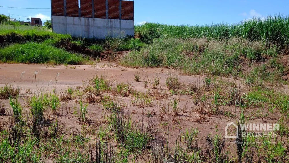 Terreno à venda, 379M2 - Foto 4