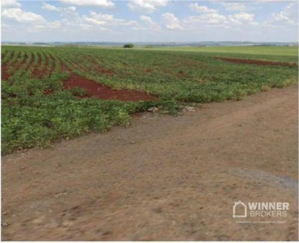 Terreno, 8 hectares - Foto 3