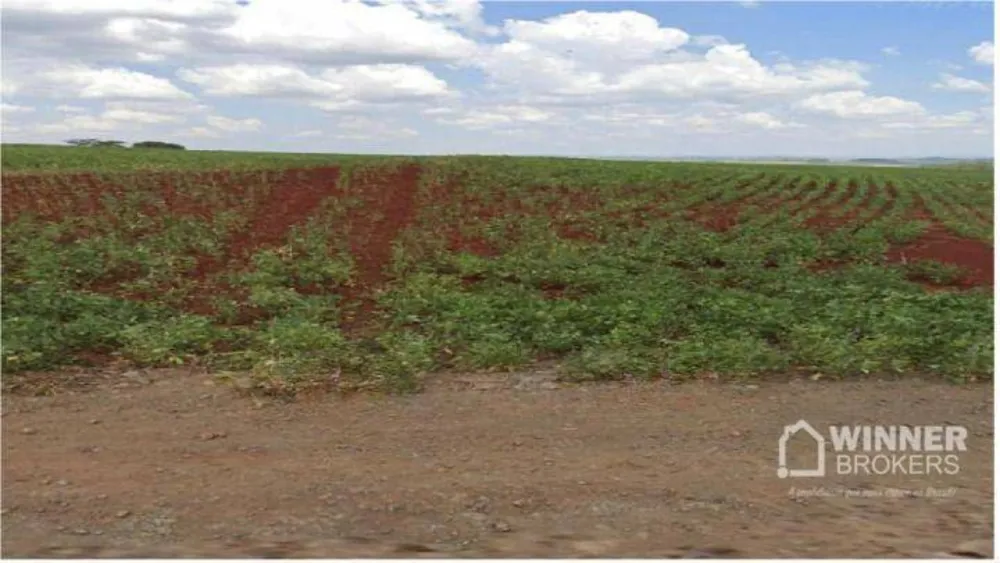 Terreno, 8 hectares - Foto 2