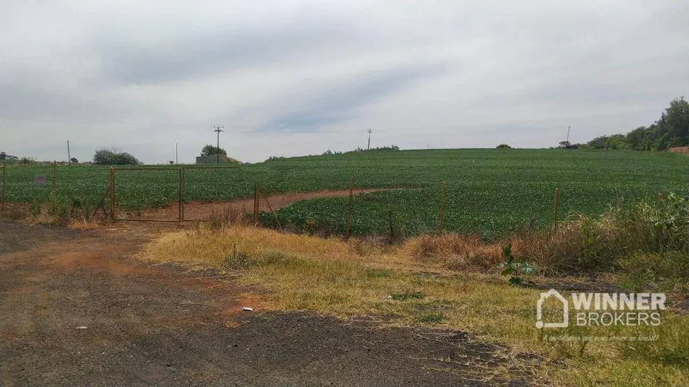 Chácara, 2 hectares - Foto 1
