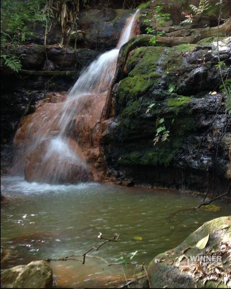 Chácara à venda, 16000M2 - Foto 3