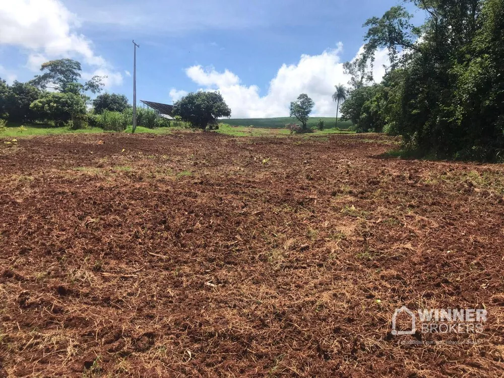 Chácara à venda, 16000M2 - Foto 2