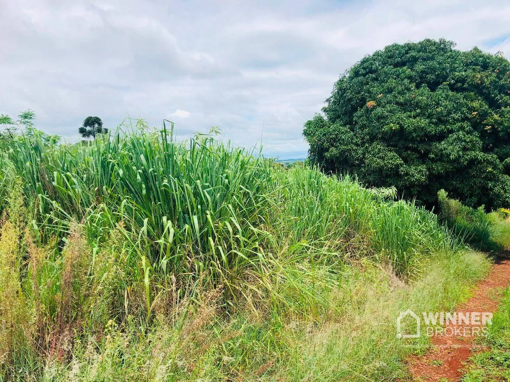 Chácara à venda com 1 quarto, 5000M2 - Foto 3