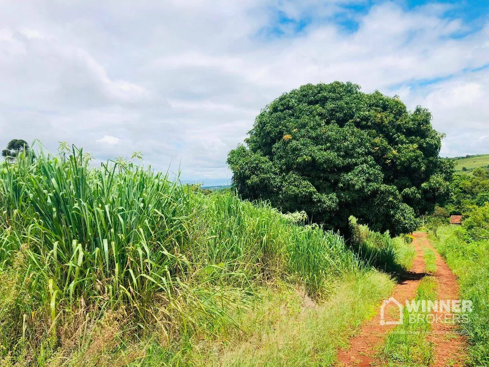 Chácara à venda com 1 quarto, 5000M2 - Foto 2