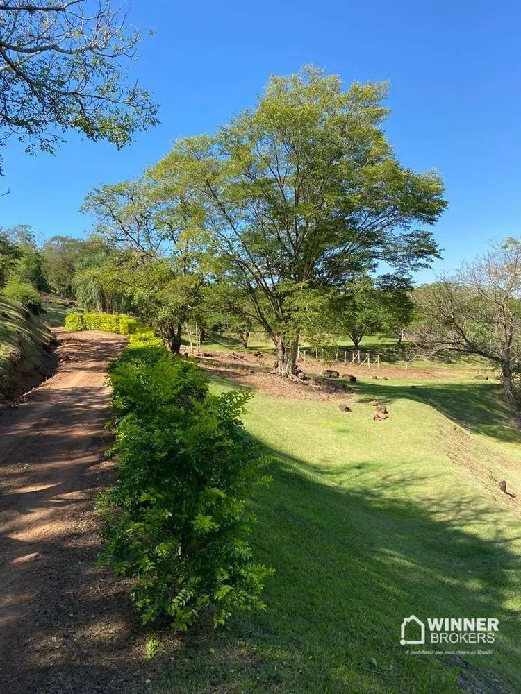 Chácara, 3 quartos, 2 hectares - Foto 6