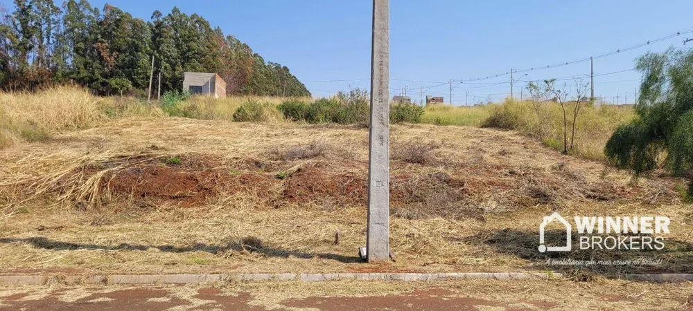 Terreno, 400 m² - Foto 4