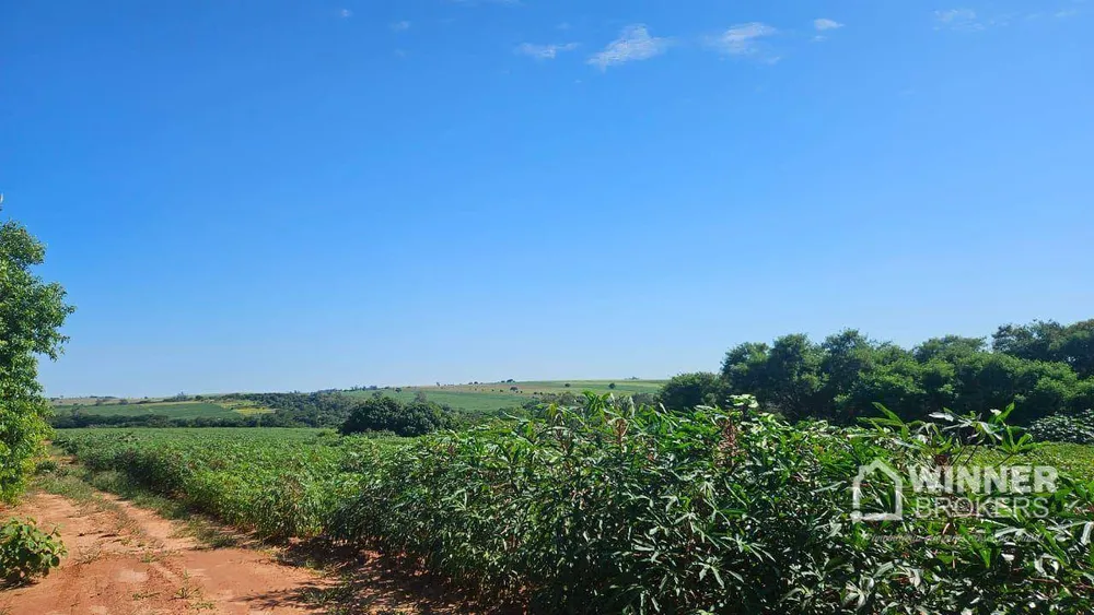 Sítio, 1 quarto, 20 hectares - Foto 4