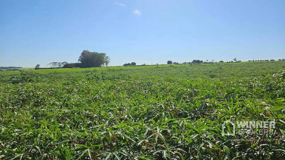 Sítio, 1 quarto, 20 hectares - Foto 2
