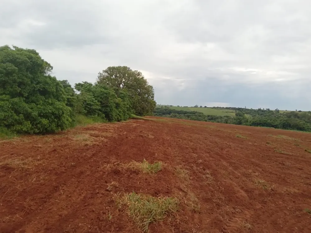 Sítio, 1 quarto, 20 hectares - Foto 11