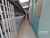Apartamento, 3 quartos, 66 m² - Foto 4