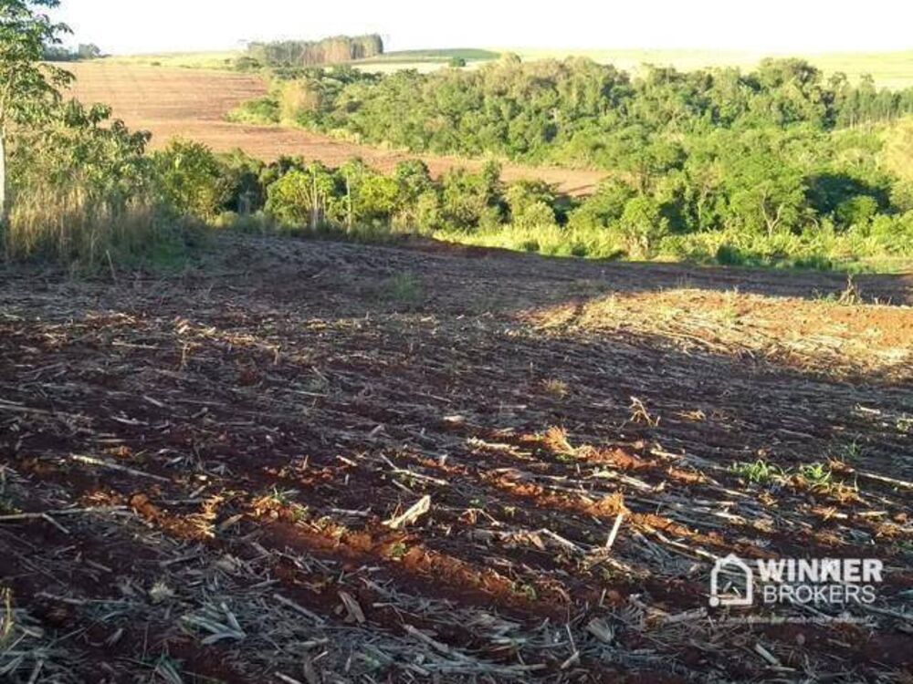Chácara à venda com 1 quarto, 30500M2 - Foto 1