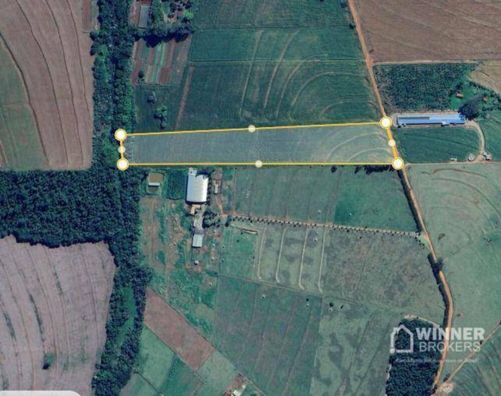 Sítio, 1 quarto, 5 hectares - Foto 1