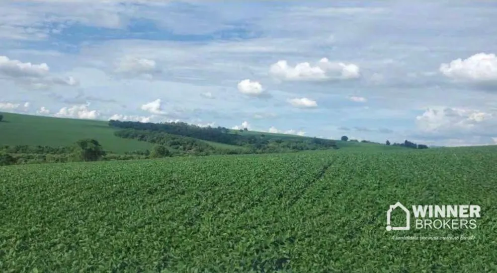 Chácara, 3 hectares - Foto 3