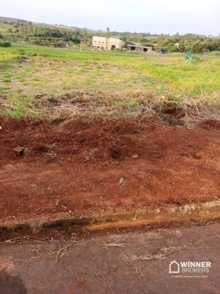 Terreno, 300 m² - Foto 3