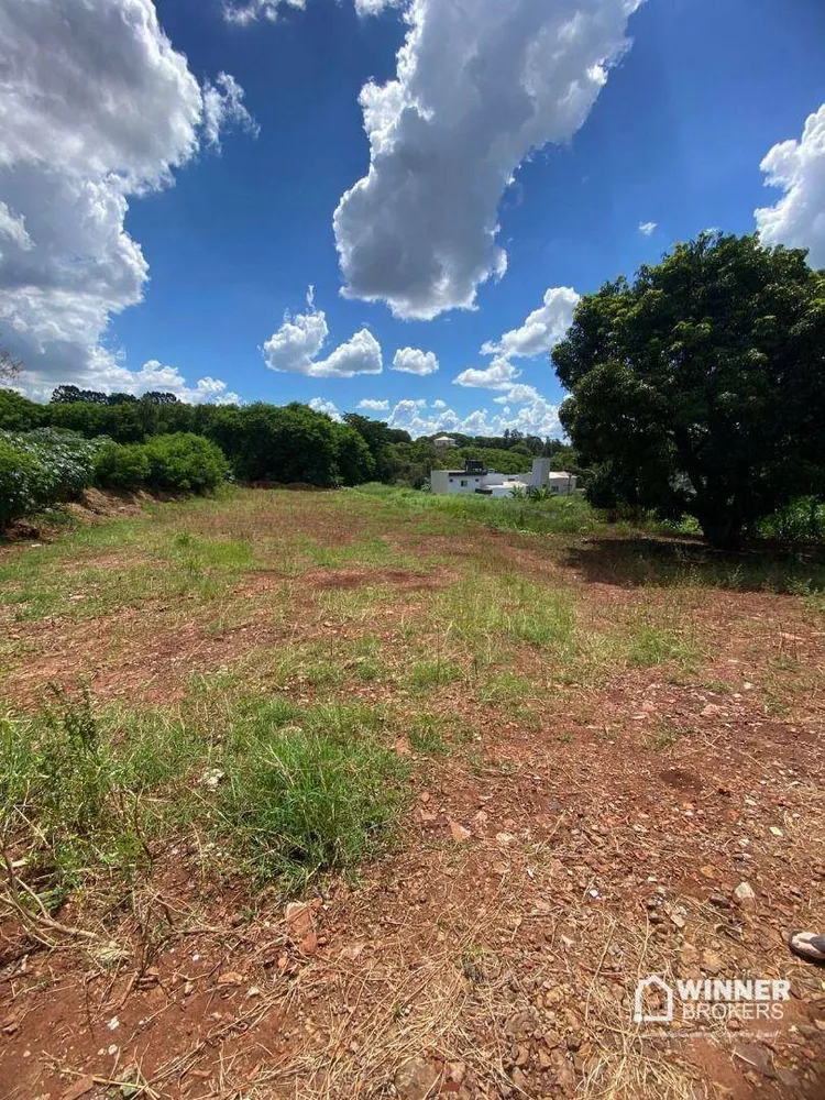 Chácara, 1 quarto, 2456 m² - Foto 2