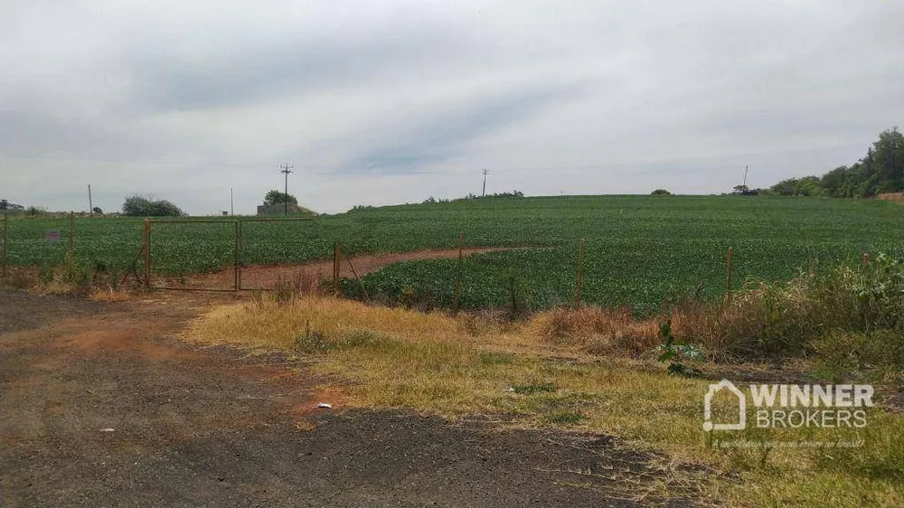 Chácara, 2 hectares - Foto 1