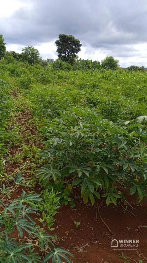 Loteamento e Condomínio à venda, 4030M2 - Foto 2