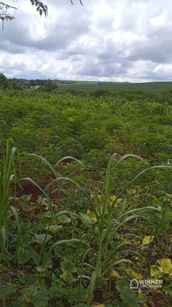 Loteamento e Condomínio à venda, 4030M2 - Foto 3