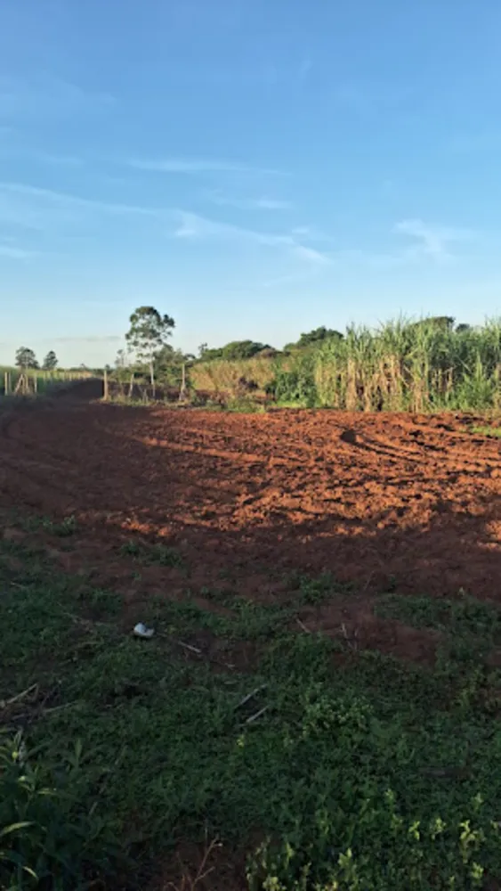 Chácara, 3 quartos, 2 hectares - Foto 3