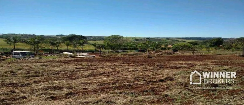Chácara, 1 quarto, 10000 m² - Foto 7