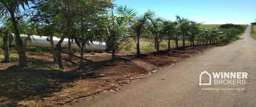 Chácara, 1 quarto, 10000 m² - Foto 2