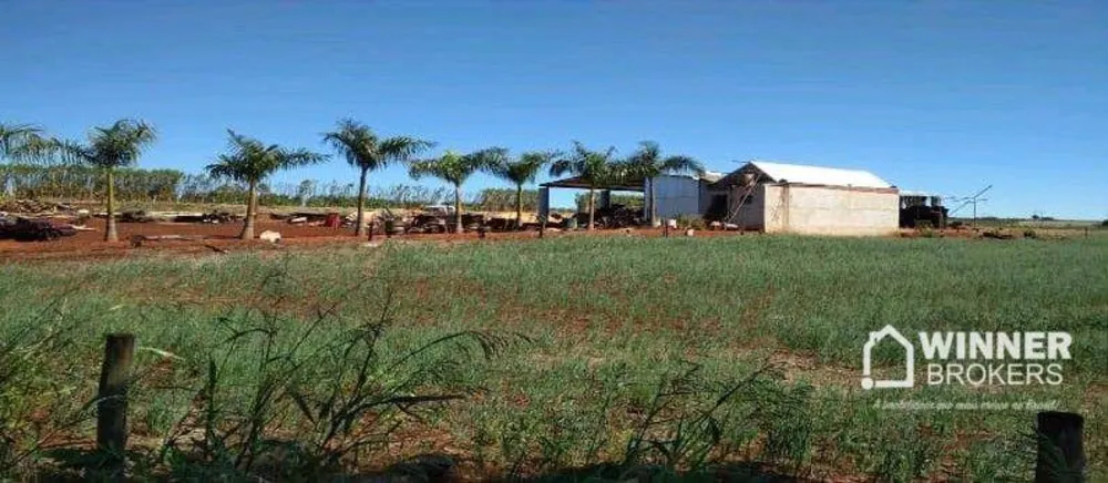 Chácara, 1 quarto, 10000 m² - Foto 5