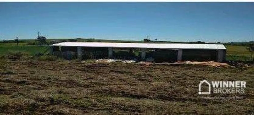 Chácara, 1 quarto, 10000 m² - Foto 8