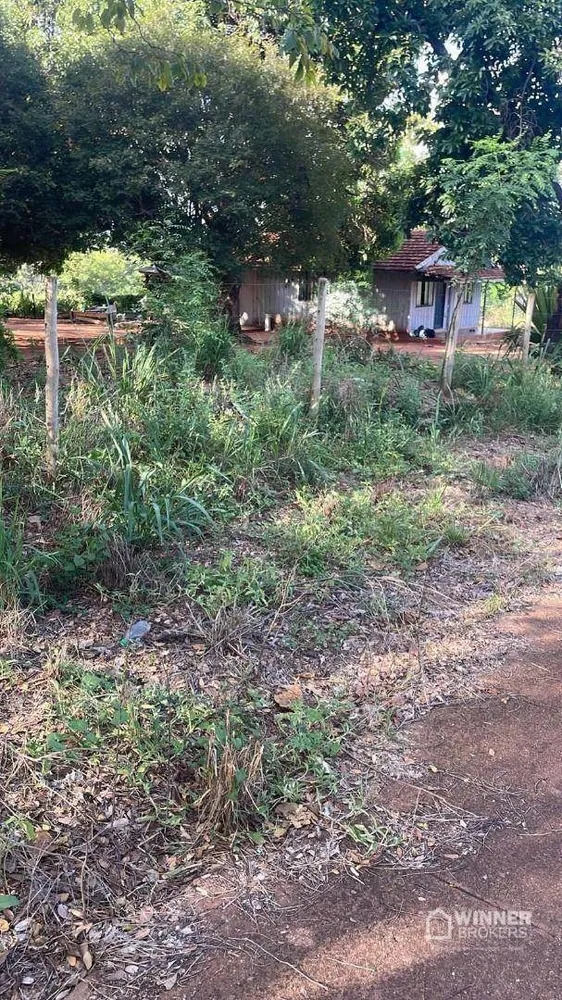 Terreno, 3 hectares - Foto 4