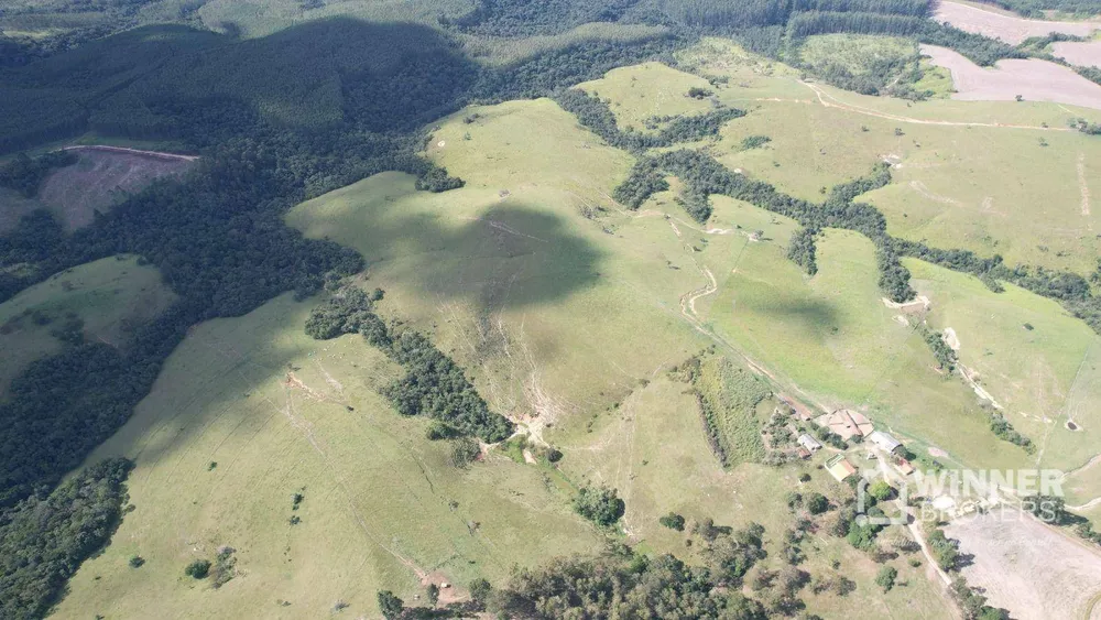 Fazenda, 392 hectares - Foto 7