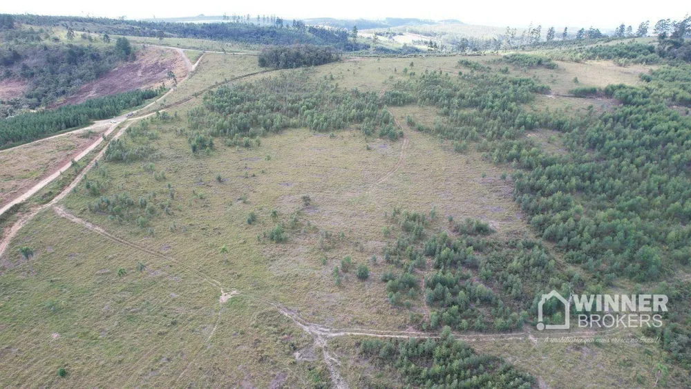 Fazenda, 392 hectares - Foto 12