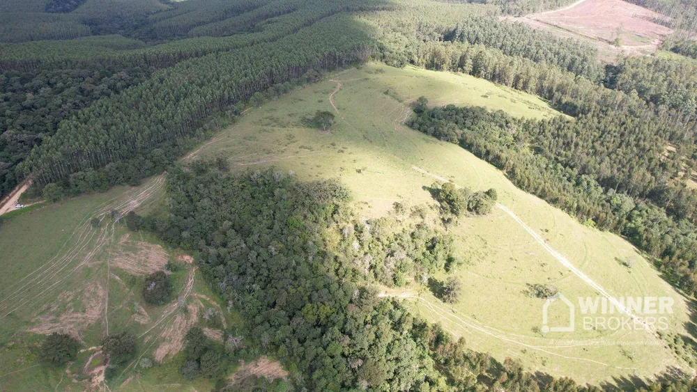 Fazenda, 392 hectares - Foto 9