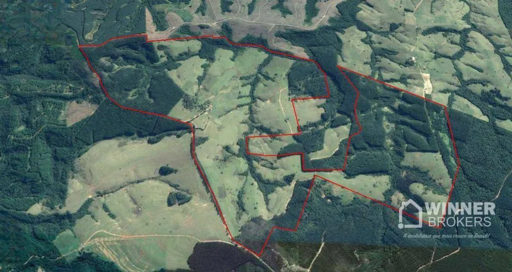 Fazenda, 392 hectares - Foto 8