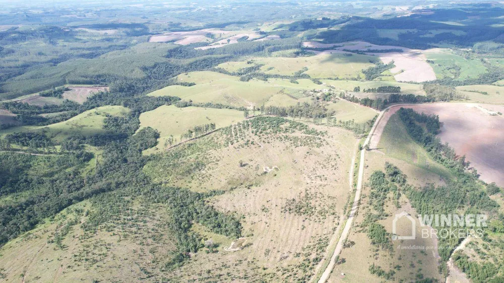 Fazenda, 392 hectares - Foto 6