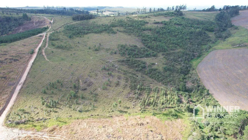 Fazenda, 392 hectares - Foto 10