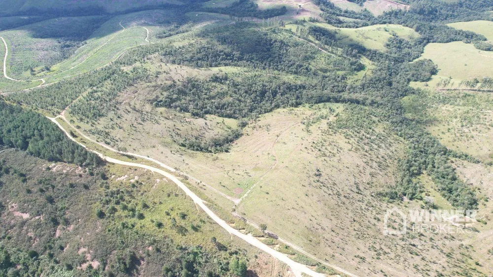 Fazenda, 392 hectares - Foto 5