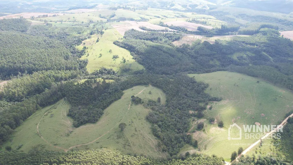 Fazenda, 392 hectares - Foto 4