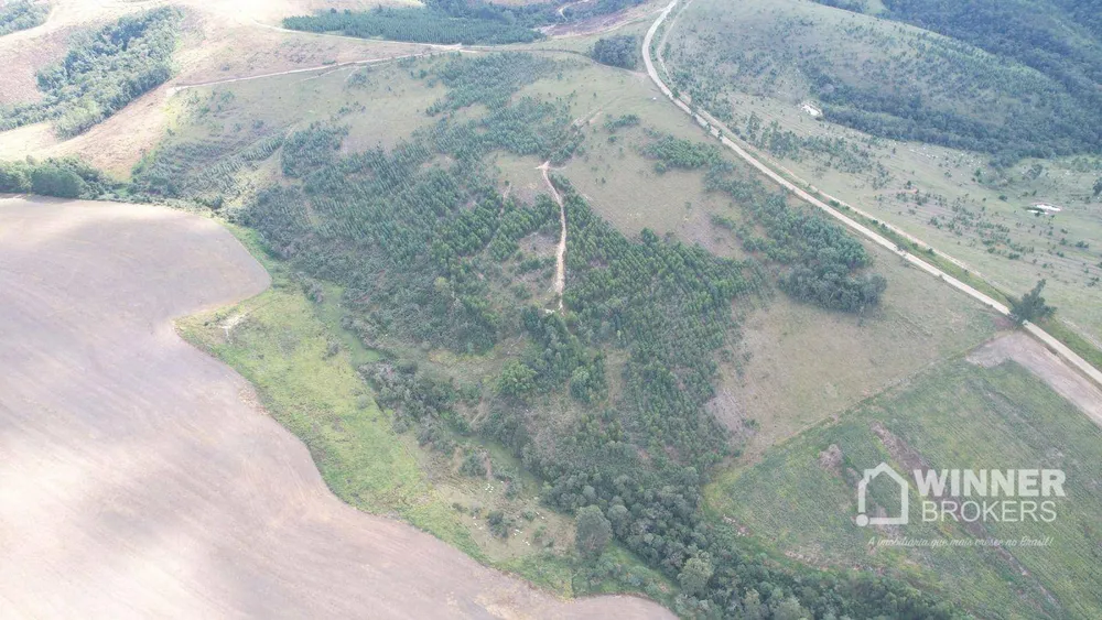 Fazenda, 392 hectares - Foto 2