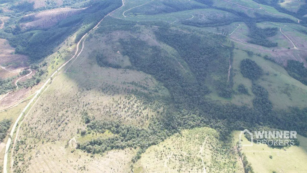 Fazenda, 392 hectares - Foto 3
