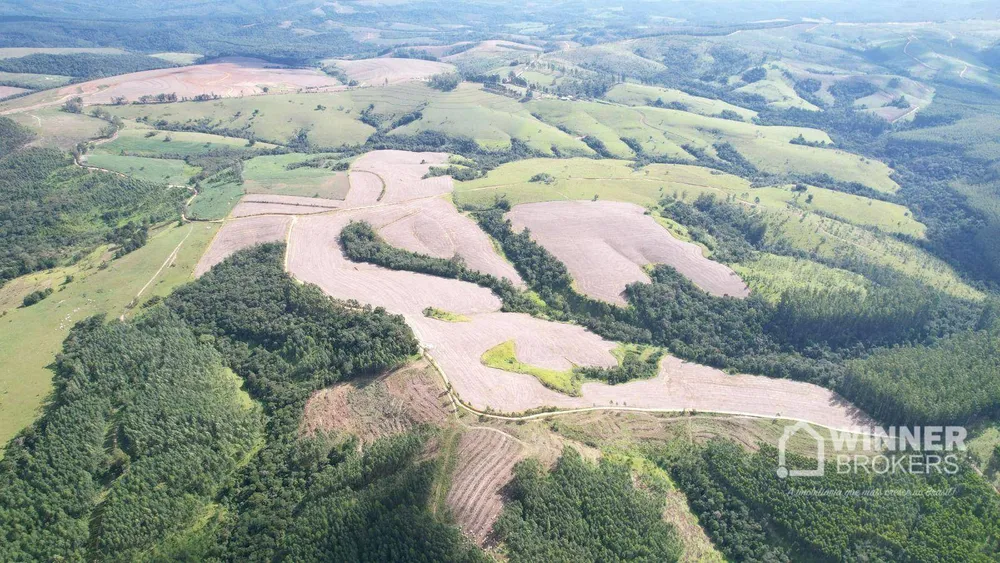 Fazenda, 392 hectares - Foto 1