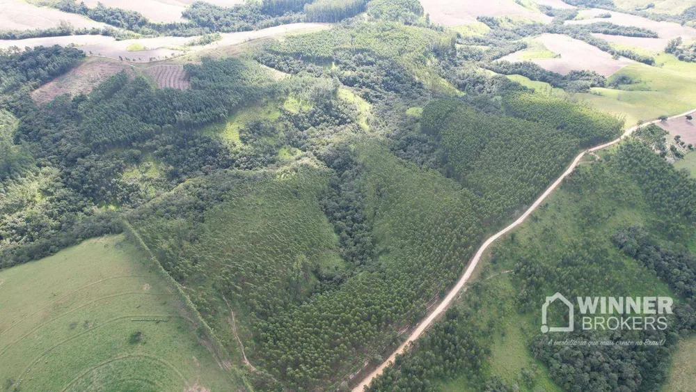 Fazenda, 392 hectares - Foto 11