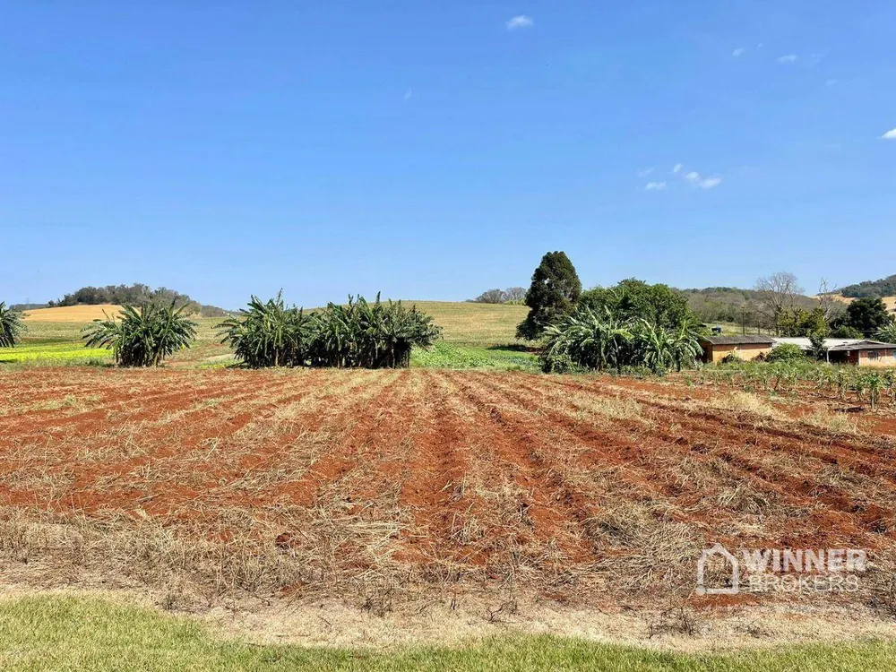 Terreno, 1000 m² - Foto 5