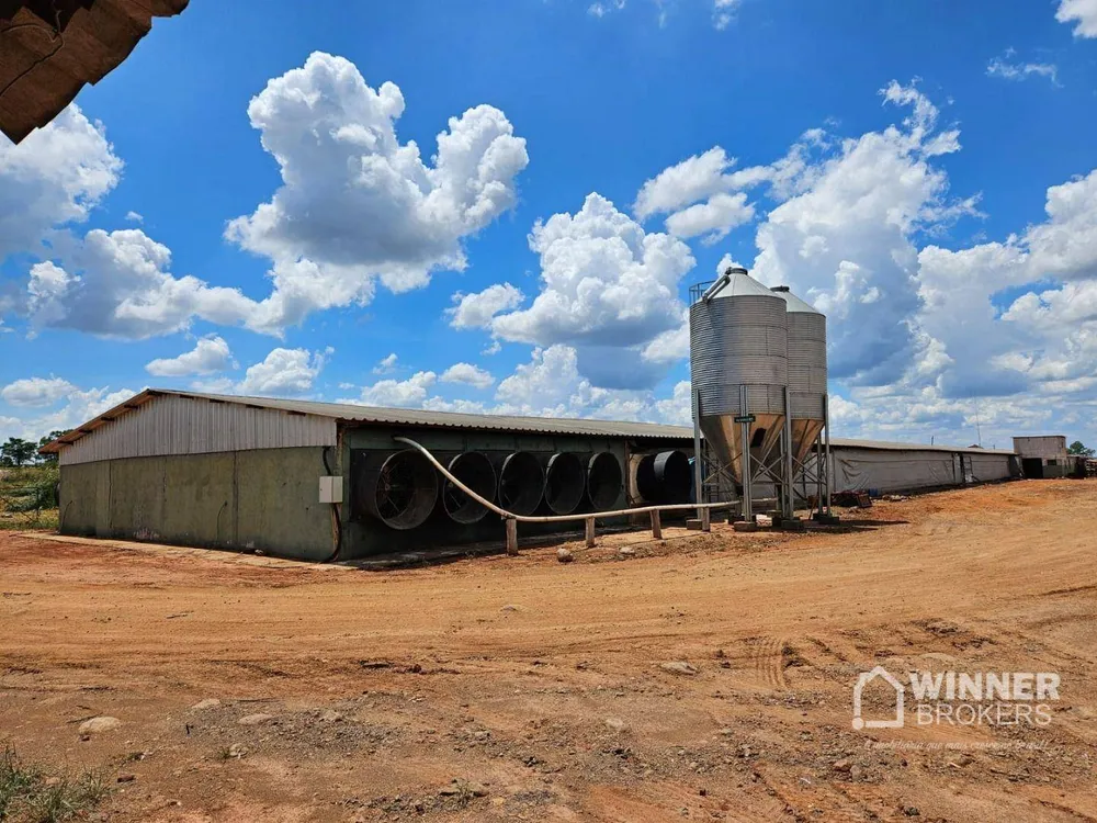 Fazenda, 17 hectares - Foto 8