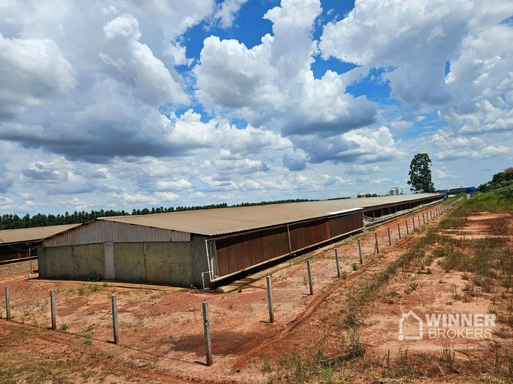 Sítio, 17 hectares - Foto 4