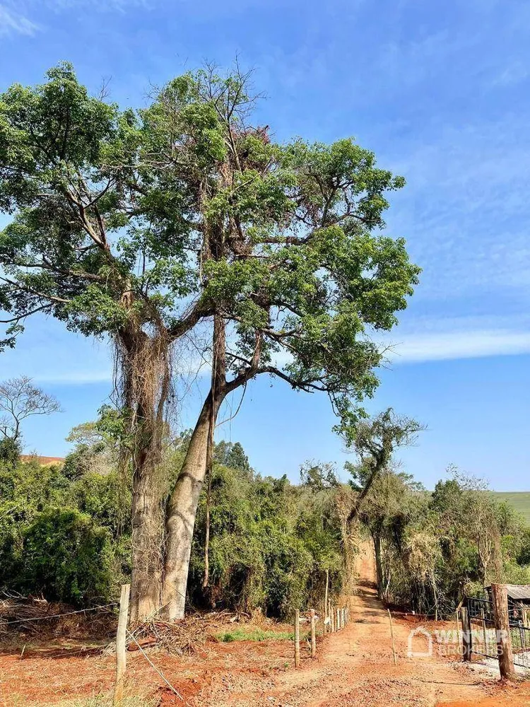 Chácara, 2 hectares - Foto 2