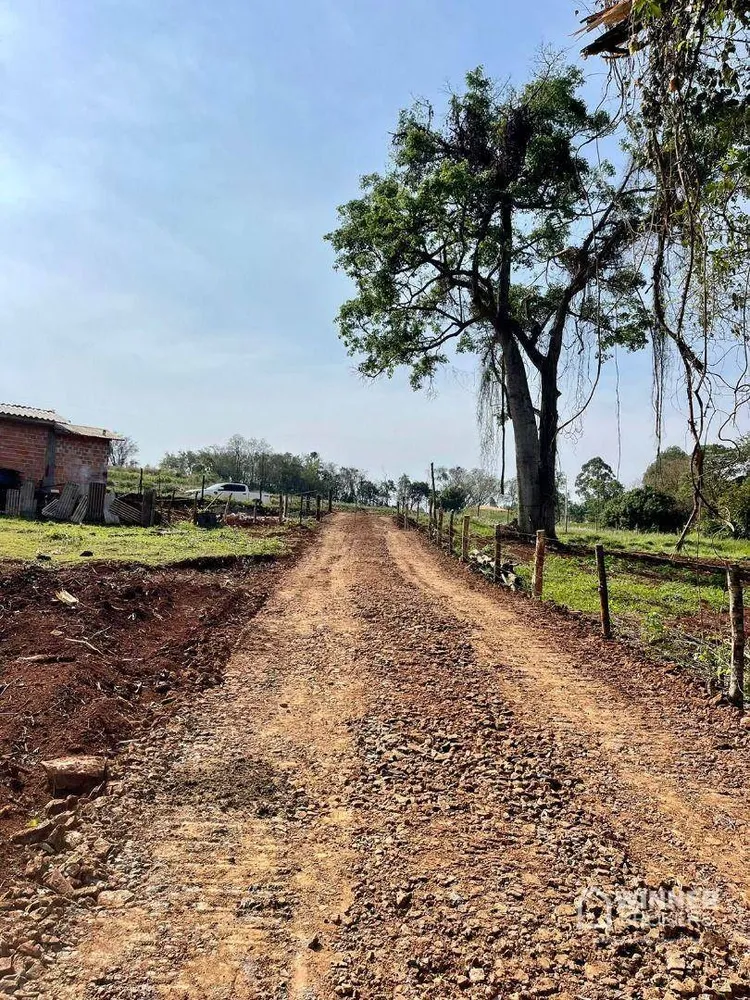 Chácara, 2 hectares - Foto 3