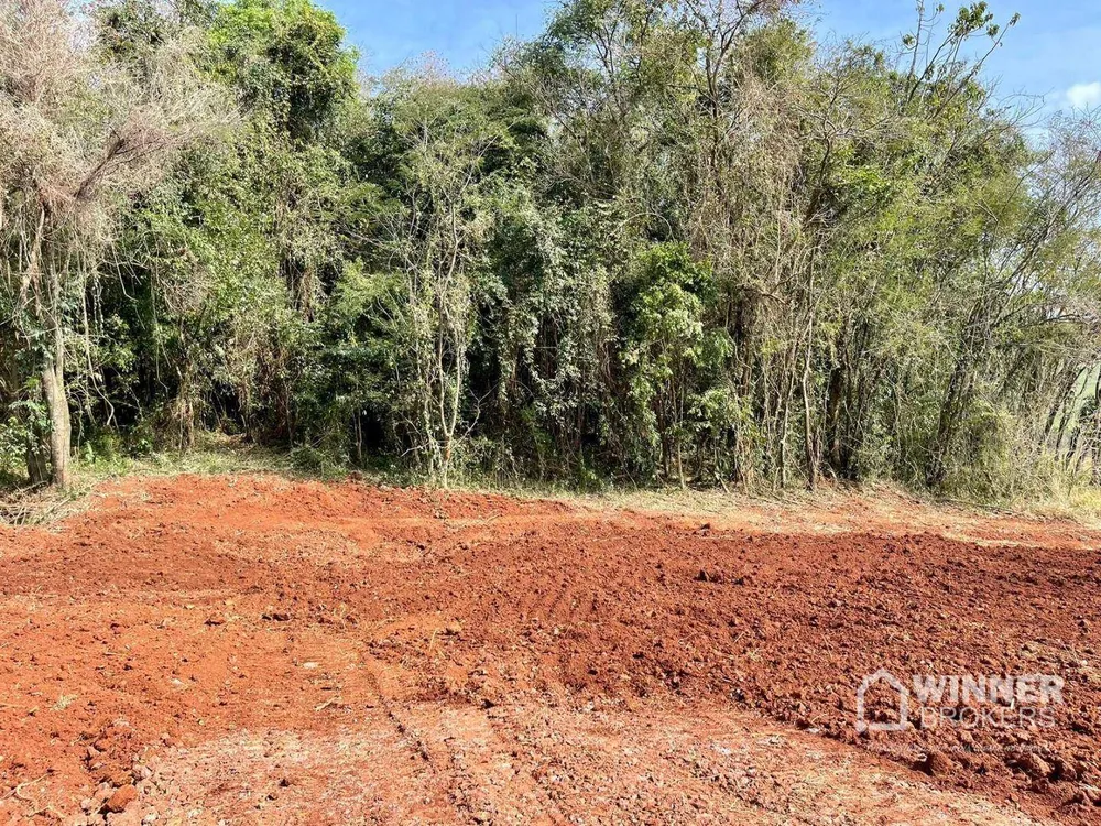 Chácara, 2 hectares - Foto 10